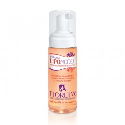 LIPOMODEL